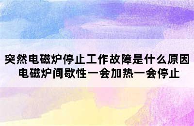 突然电磁炉停止工作故障是什么原因 电磁炉间歇性一会加热一会停止